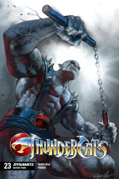 Thundercats #23